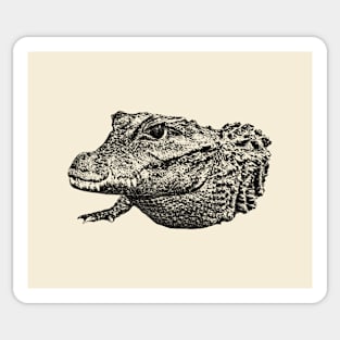 Crocodile Sticker